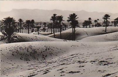algérie Colomb Bechar Dunes au fond le Djebel Bechar  Argence