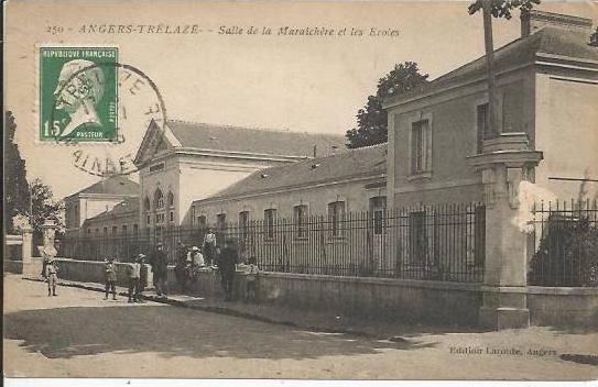 ALGERIE... BECHAR L'Oued et la Palmeraie