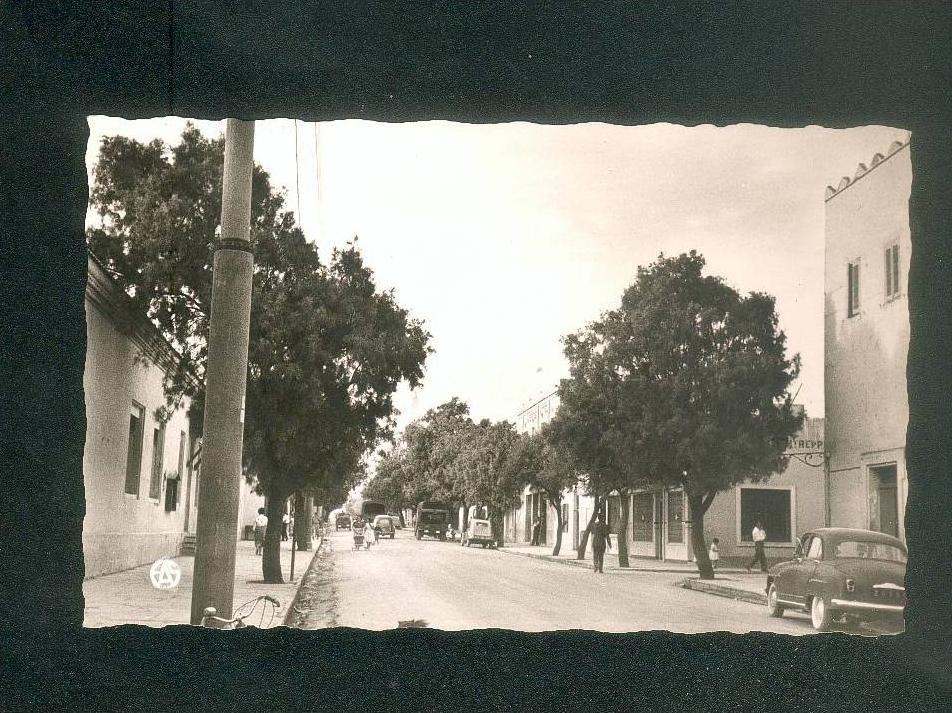 CPSM -  Algérie - COLOMB BECHAR - Avenue Poincaré ( automobile Simca Aronde Ed.SIRECKY 17)