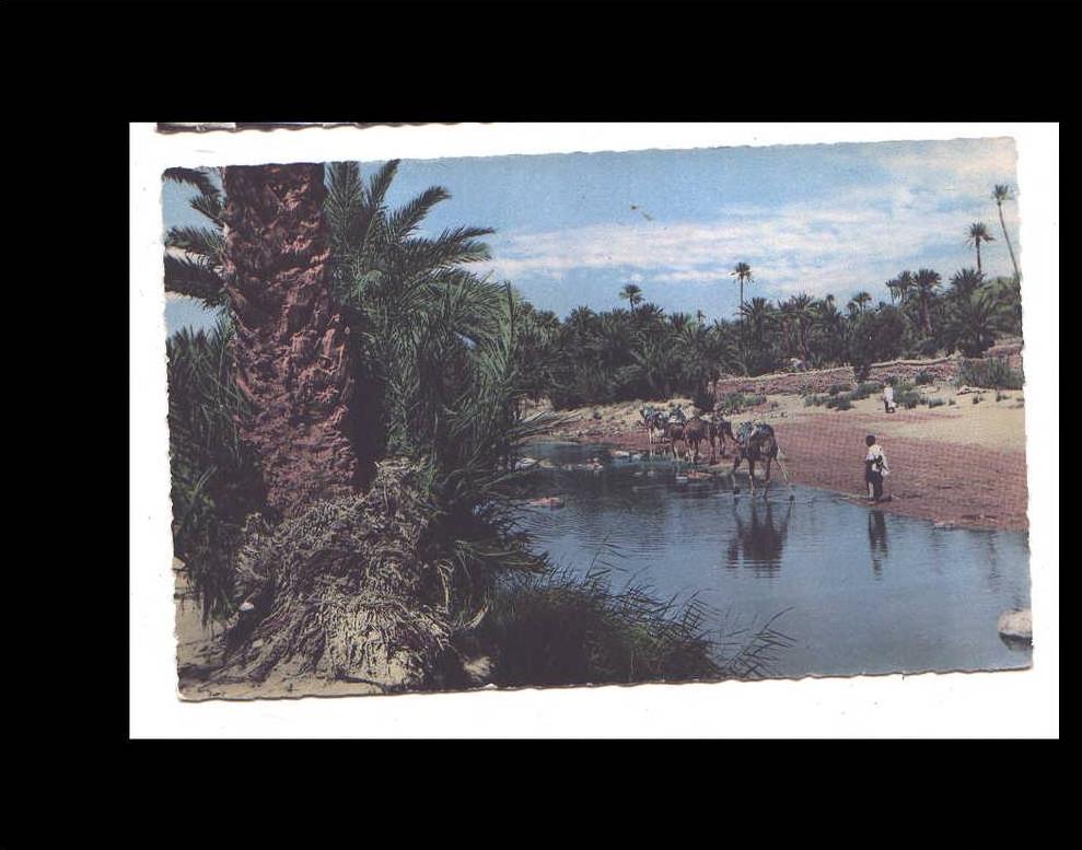 BECHARD VUE PAR ARGENCE