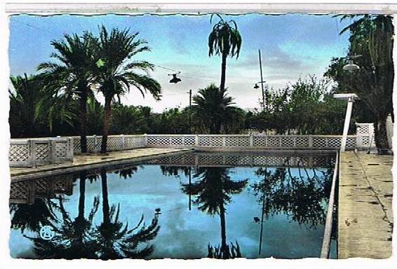 COLOMB  BECHAR   LA  PISCINE  MUNICIPALE      CPSM     TBE       1I577