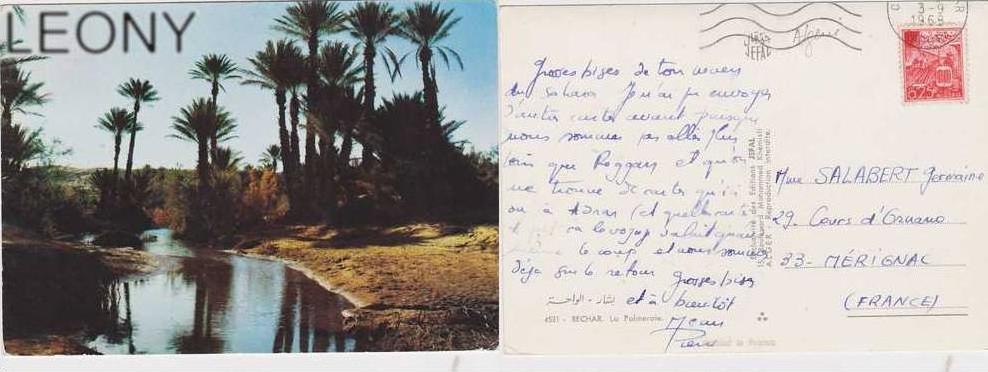 CPSM  10X15  d´ ALGERIE -  BECHAR  La Palmeraie 1968