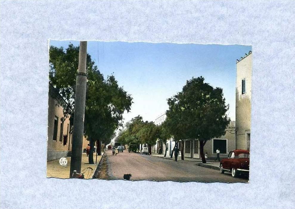 Afrique - ALgérie - Colomb Bechar - Avenue Poincaré - BORDS COUPES
