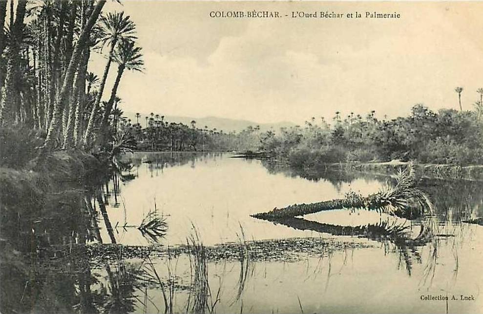 COLOMB BECHAR - L' Oued Béchar et la Palmeraie - 2 scans