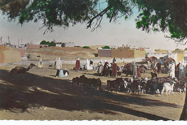 COLOMB BECHAR / UNE CARAVANE