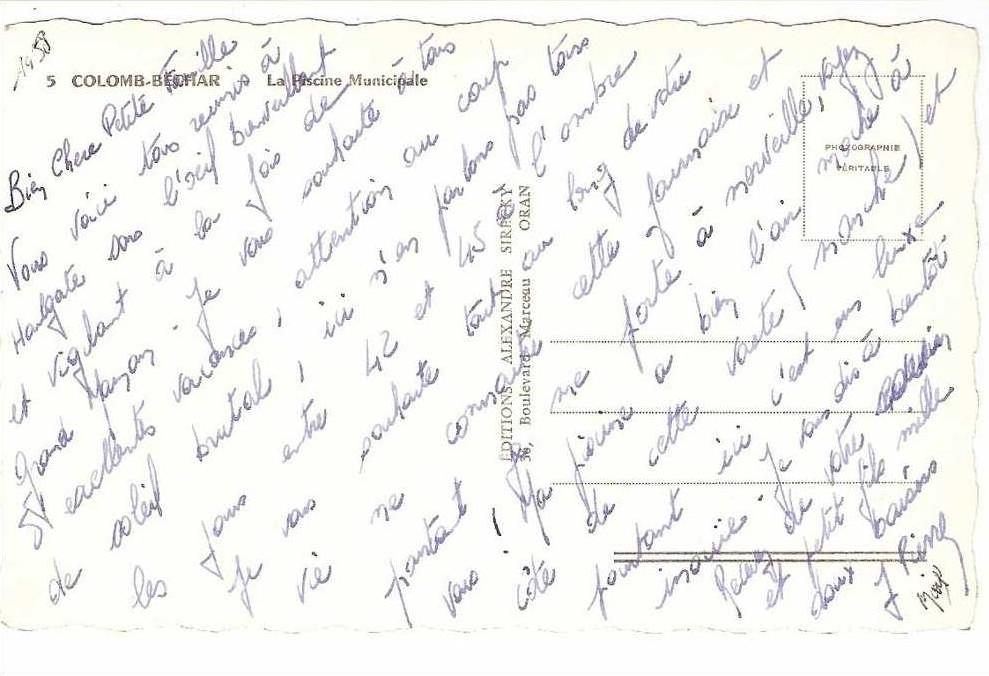 COLOMB-BECHAR...La Piscine Municipale....cpa 9X14..dentelée  1950