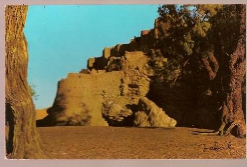 CP CPSM ALGERIE BECHAR TOGHIT