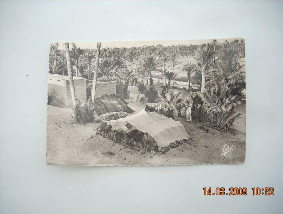 ALGERIE    COLOMB BECHAR