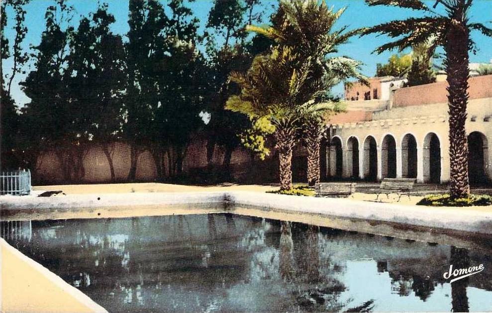 CPSM (format cpa)   Bechar La piscine   R845