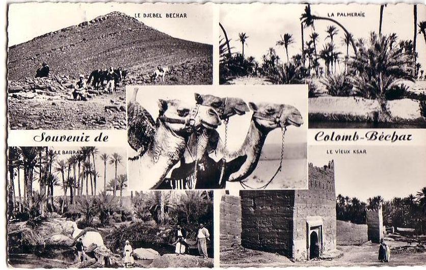 Souvenir de COLOMB-BECHAR -  Belle CPSM à vues multiples des années 50