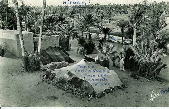 ALGERIE...COLOMB BECHAR Dans l'Oasis