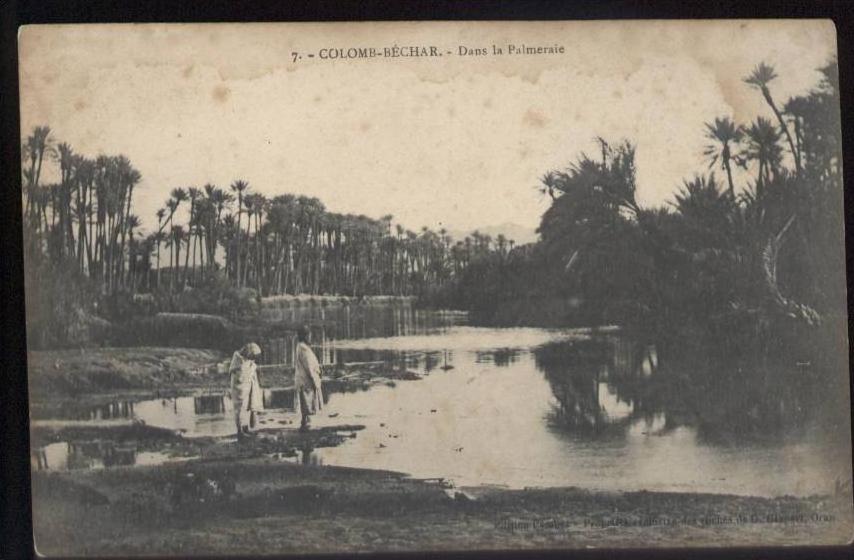 -  ANIMEE. -  COLOMB-BECHAR. -  DANS LA PALMERAIE. ... (13594)