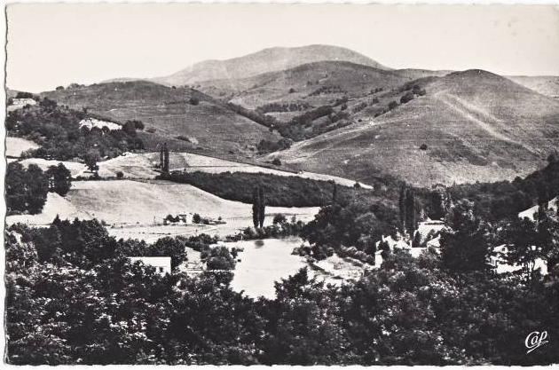 cpsm. COLOMB-BECHAR. La Piscine et Palmeraie. 222