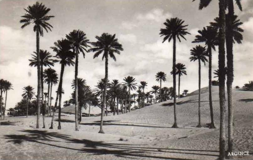 cpsm Colomb Bechar ( Algerie ) Dunes
