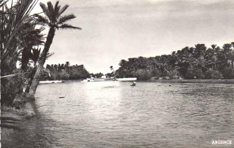 cpsm Colomb Bechar ( Algerie ) Oued Bechar en crue