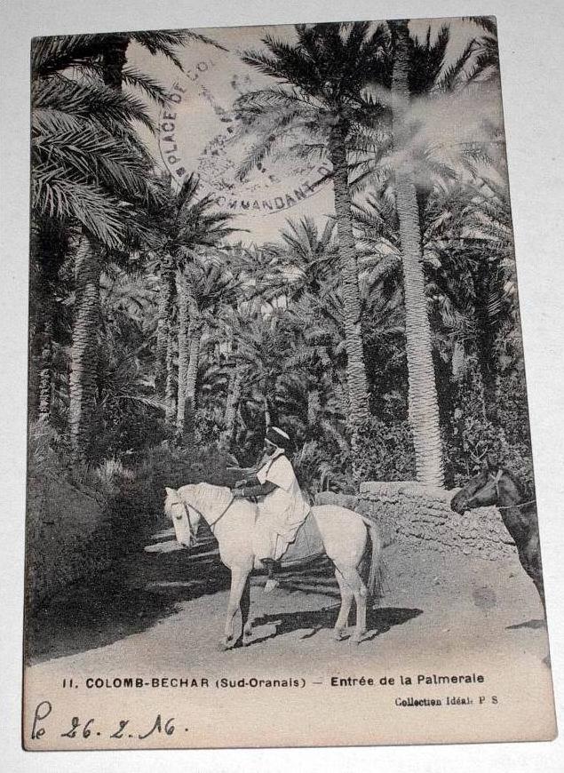 CPA Afrique Algérie Colomb Béchar - Entrée de la Palmeraie