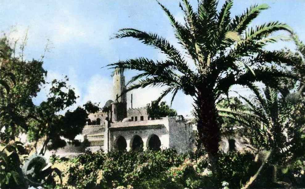 CPSM PETIT FORMAT DENTELE COLOMB BECHAR UN COIN DU JARDIN PUBLIC  VOIR SCANER