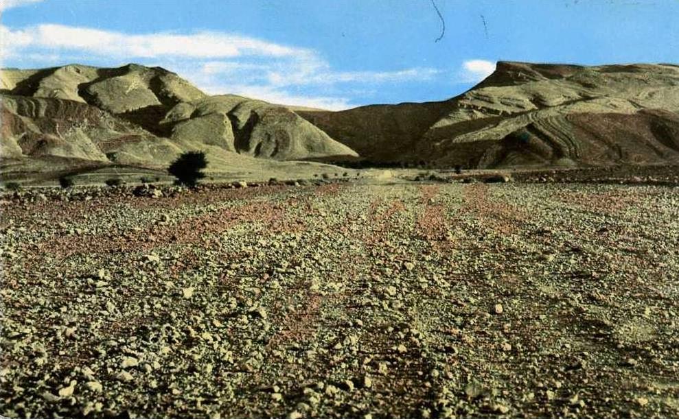 CPSM PETIT FORMAT DENTELE COLOMB BECHAR PISTE DE DJENIEN AU FOND LE DJEBEL BECHAR  VOIR SCANER