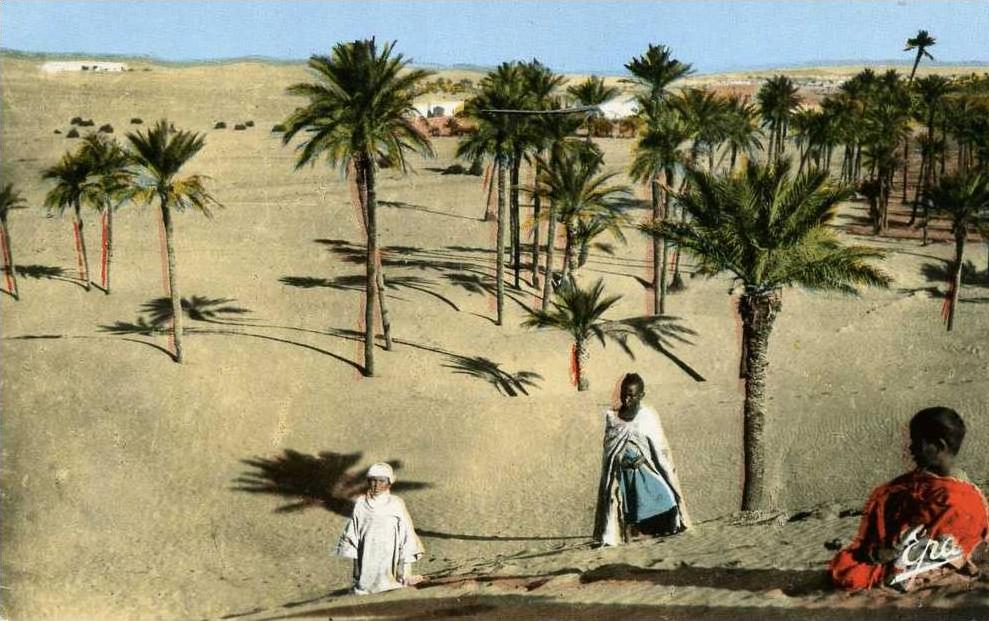 CPSM PETIT FORMAT DENTELE COLOMB BECHAR LES DUNES ANIMEE  VOIR SCANER