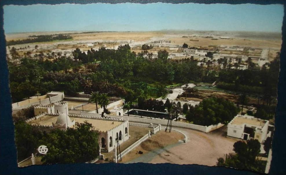 COLOMB-BECHARD.Cercle des Officiers et Palmeraie.Cpsm,neuve,be,