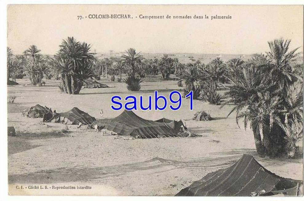 Colomb Béchar-  Campement de nomades dans la palmeraie - n°77 - Circulé  en 1916  -Réf9136