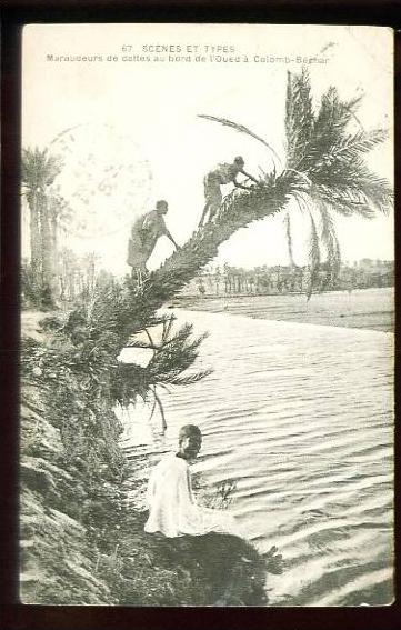 COLOMB-BECHAR - 67  Maraudeurs de dattes au bord de l' Oued à Colomb-Béchar - (Beau plan animé)