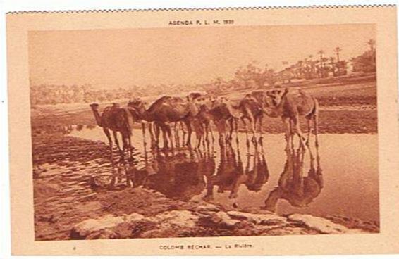ALGE...COLOMB  BECHAR --  LA  RIVIERE  1930