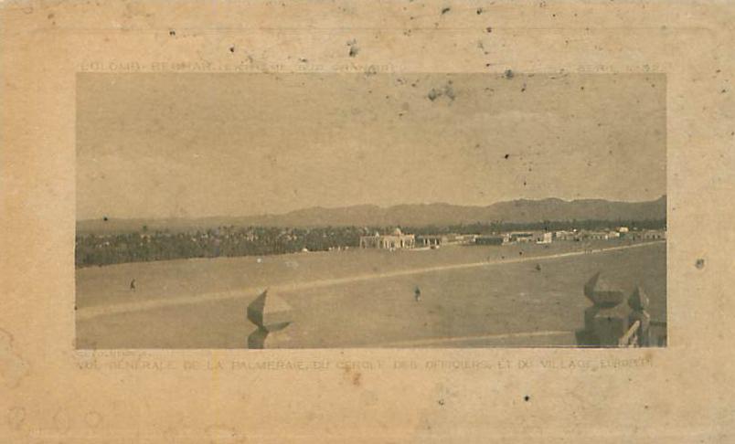 COLOMB-BECHAR - Vue générale de la Palmeraie (Visé Bou-Denib, n° 2183.S)