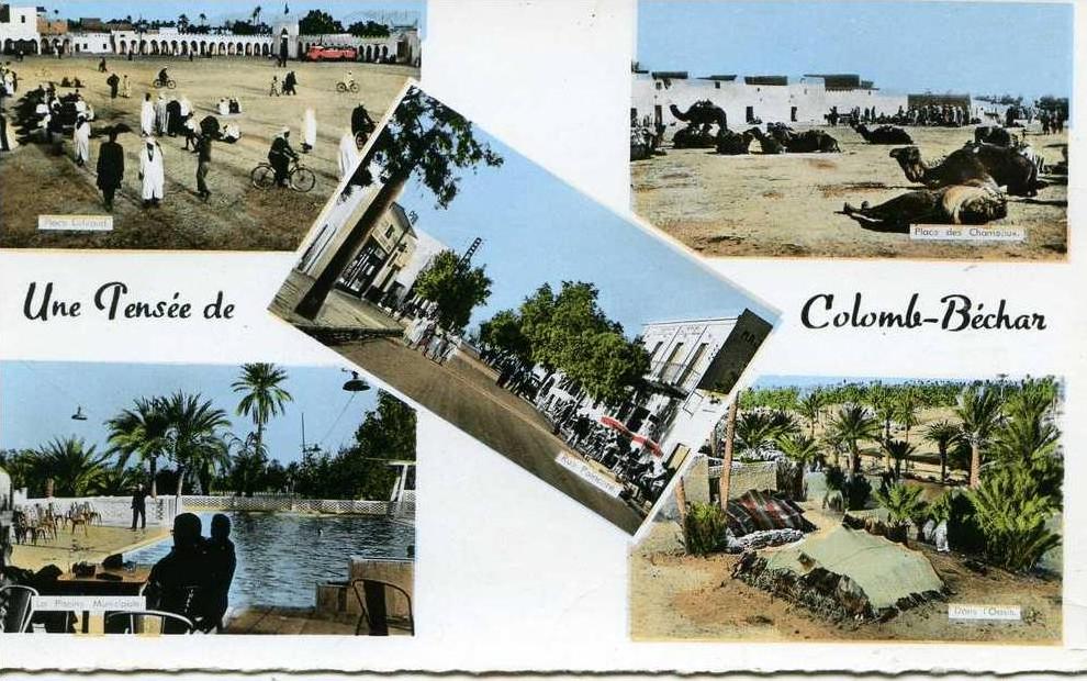 UNE PENSEE DE COLOMB-BECHAR....5 VUES.......CPSM PETIT FORMAT