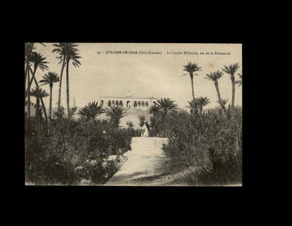 34 - COLOMB-BECHAR - Le Cercle Militaire, vue de la Palmeraie