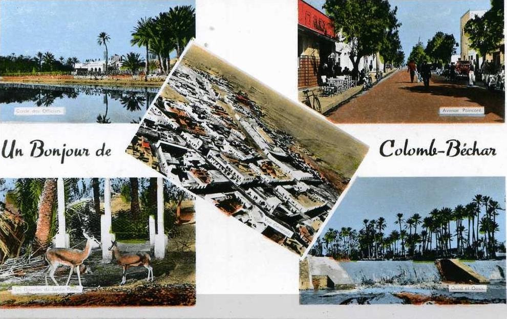 UN BONJOUR DE COLOMB-BECHAR........CPSM  PETIT FORMAT 5 VUES