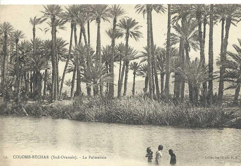 CPA Algerie COLOMB BECHAR