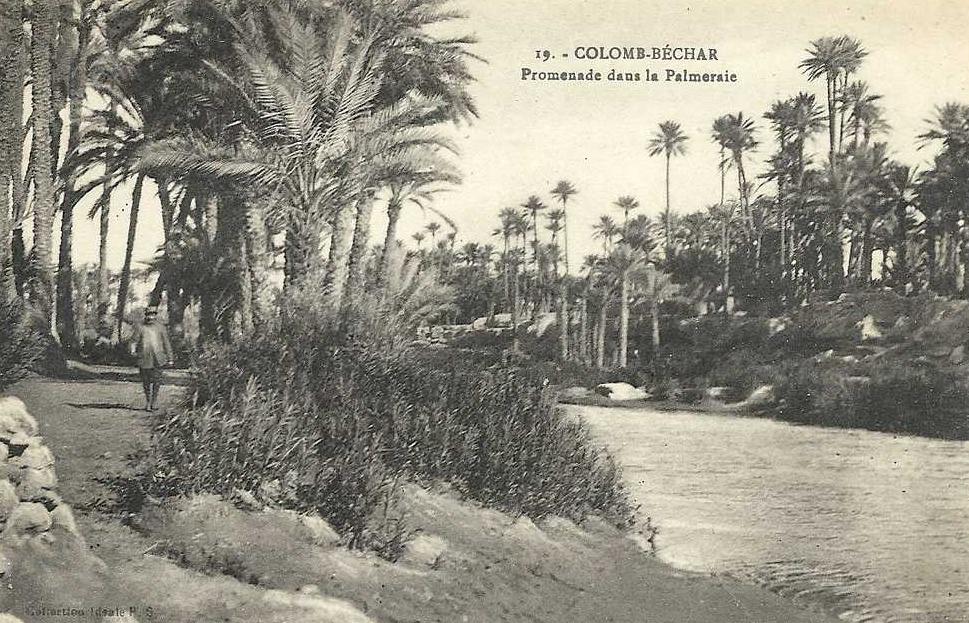 CPA Algerie COLOMB BECHAR