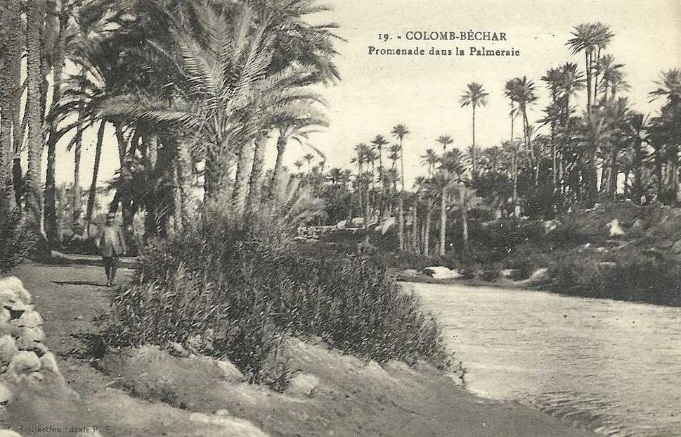 CPA Algerie COLOMB BECHAR