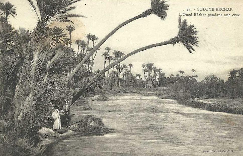 CPA Algerie COLOMB BECHAR (inondation)