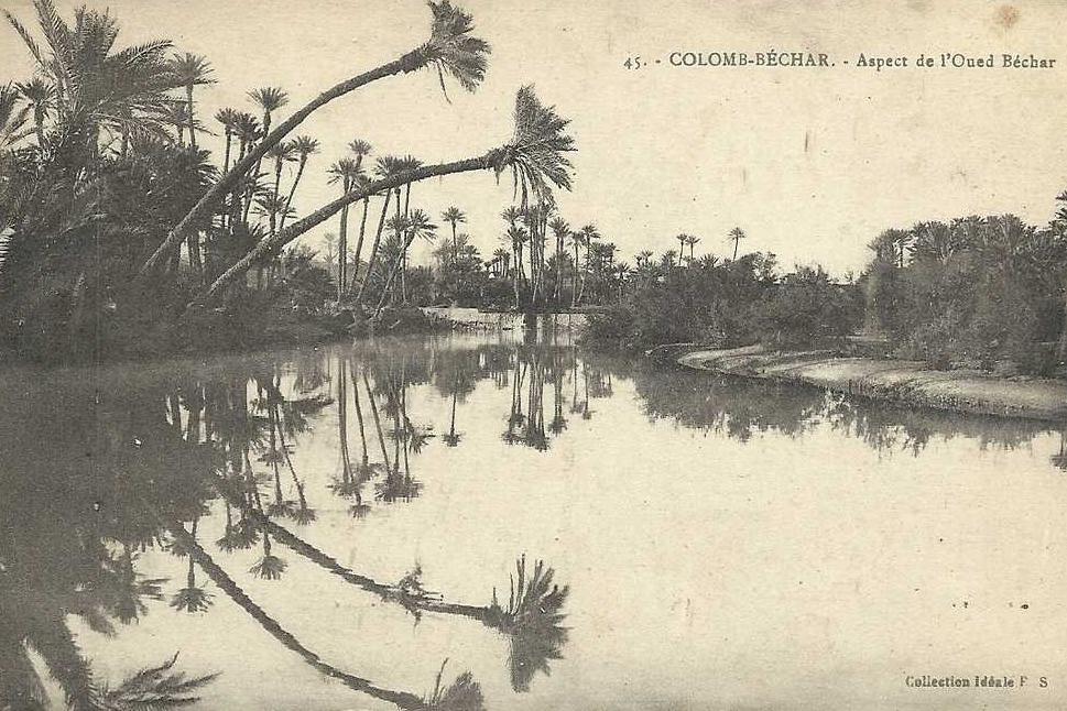 CPA Algerie COLOMB BECHAR