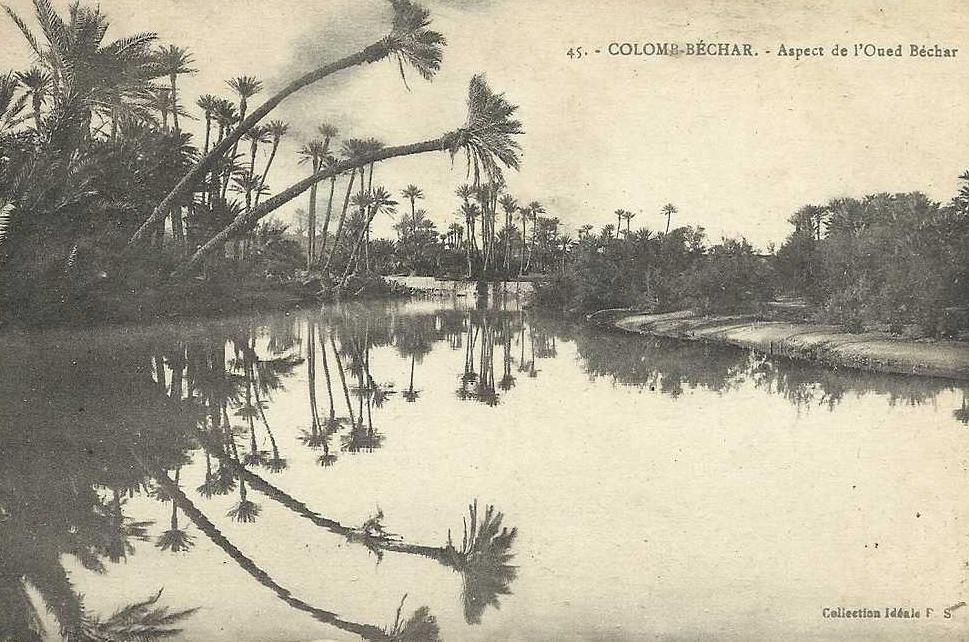 CPA Algerie COLOMB BECHAR