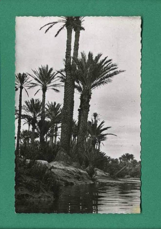 Algérie Colomb-Bechar Collection J Sebban Colomb-Bechar