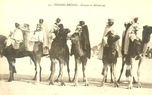 CPA Algerie COLOMB BECHAR