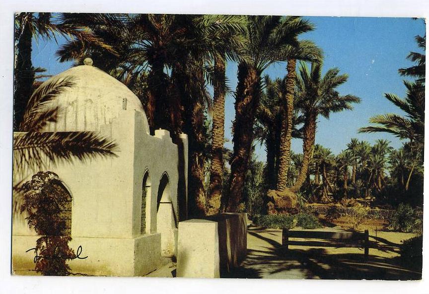 BECHAR Vue Panoramique