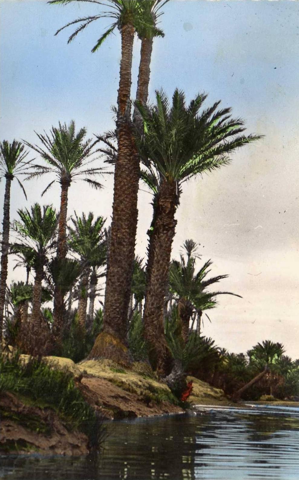 Colomb Bechar  L ´ Qued