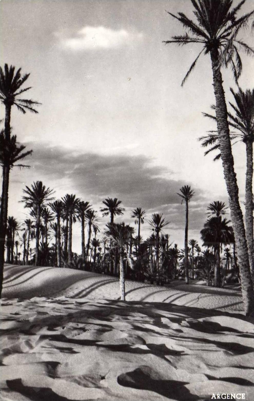 Colomb Bechar   Vue sur les Dunes