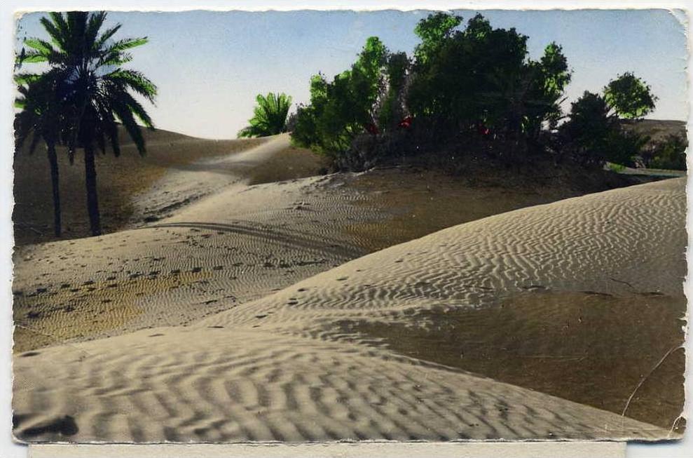 ALGERIE  COLOMB BECHAR