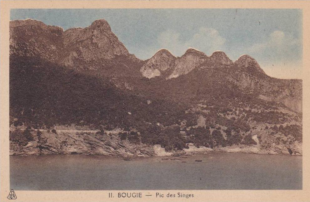 AFRIQUE,ALGERIE FRANCAISE,AFRICA,BOUGIE,B EJAIA EN 1920,MONTAGNE,PIC DES SINGES