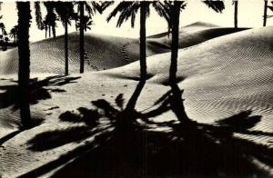 COLOMB BECHAR  Contre Jour    Recto Verso