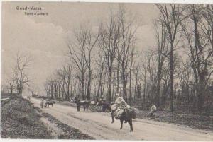 CPA ALGERIE BOUGIE Environs Oued Marsa Forêt d'Acherit