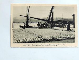 Carte postale Ancienne  BEJAIA  BOUGIE  Débarquement des gargoulettes espagnoles