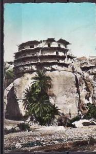 25-198 //  LES AURES  -  BANIANE   at 1962