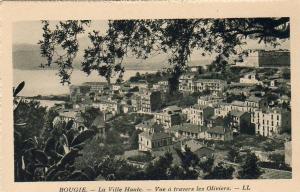 ALGERIE  BOUGIE  La Ville Haute. Vue à travers les Oliviers  ..... ( Ref FA401 )