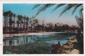 AFRIQUE,ALGERIE FRANCAISE,AFRICA,BOUGIE,O ASIS,RIVIERE,SEGUIA,CORRE SPONDANCE  président du tribunal de grenoble,isere